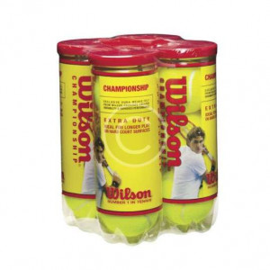 Tourna Mesh Pack of 12 Tennis Balls